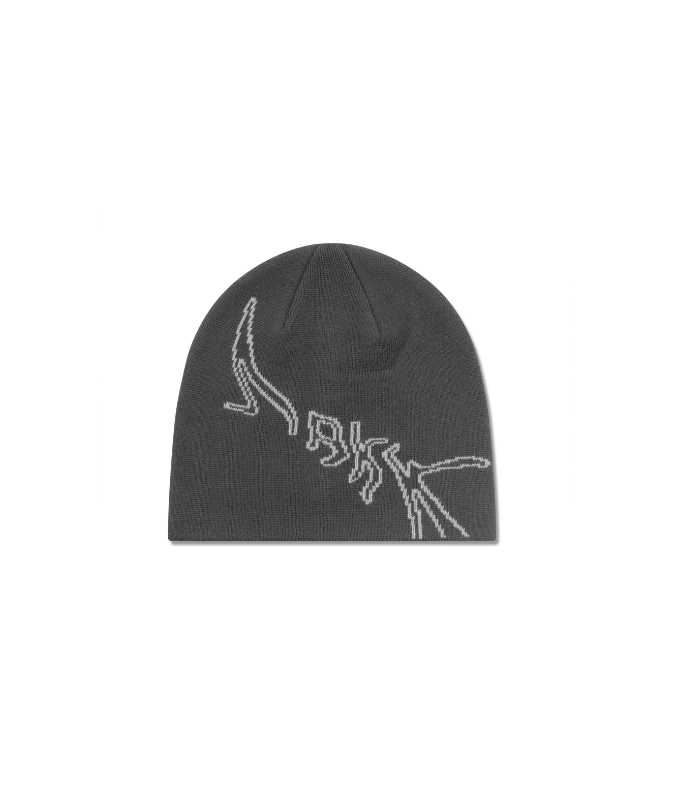 ARKK Accessories ARKK Graphic Beanie | Dark Grey Beanie