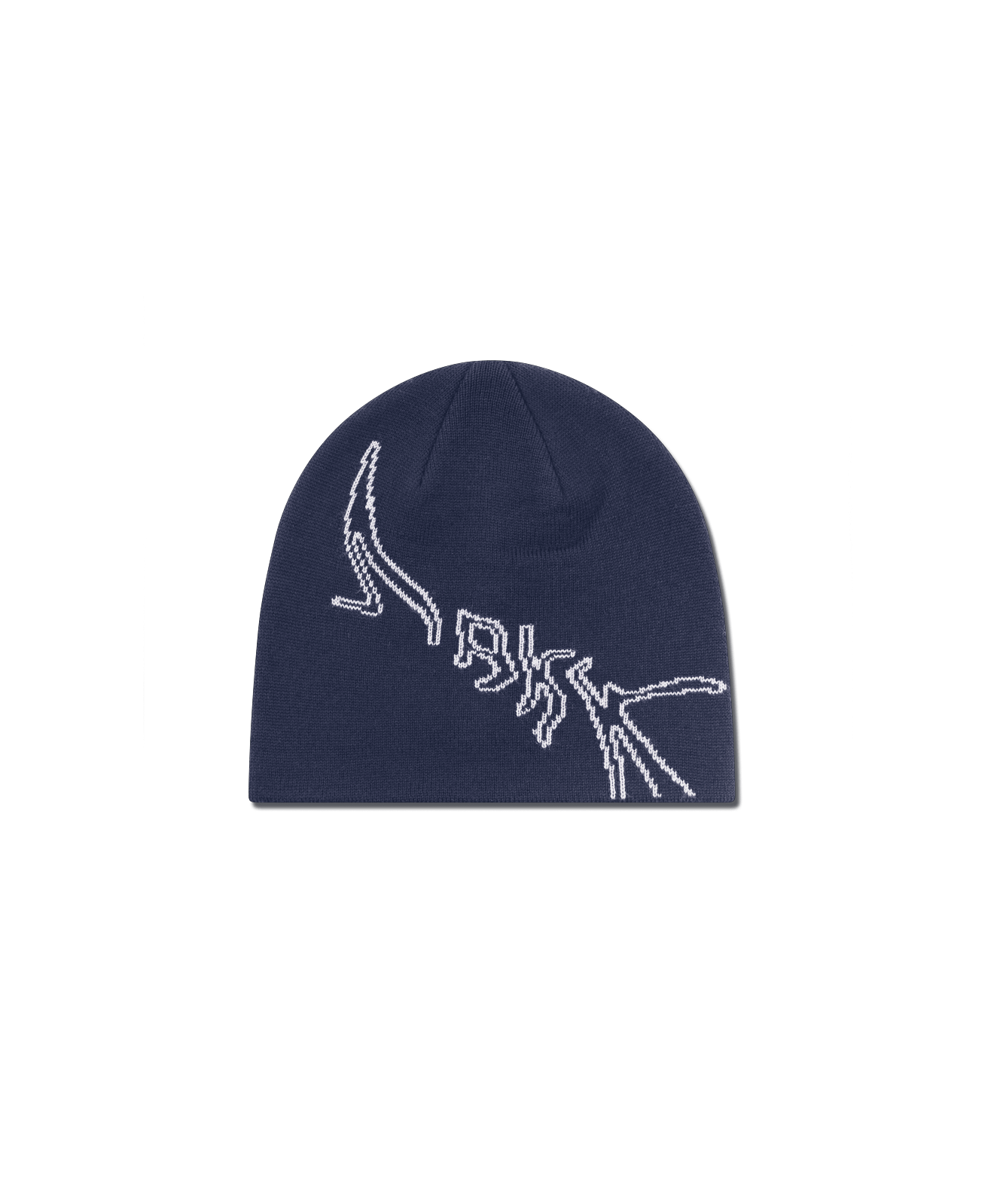 ARKK Accessories ARKK Graphic Beanie | Navy Beanie