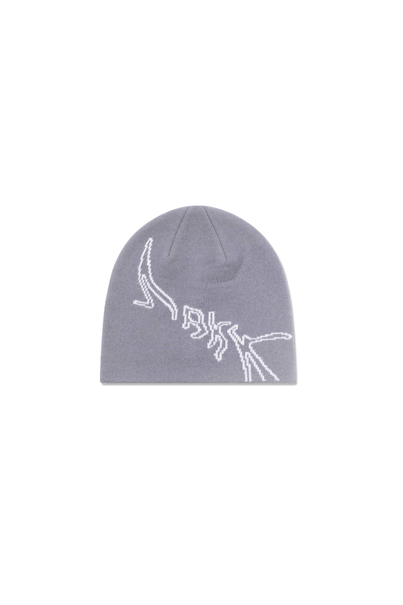 ARKK Accessories ARKK Graphic Beanie | Stone Beanie