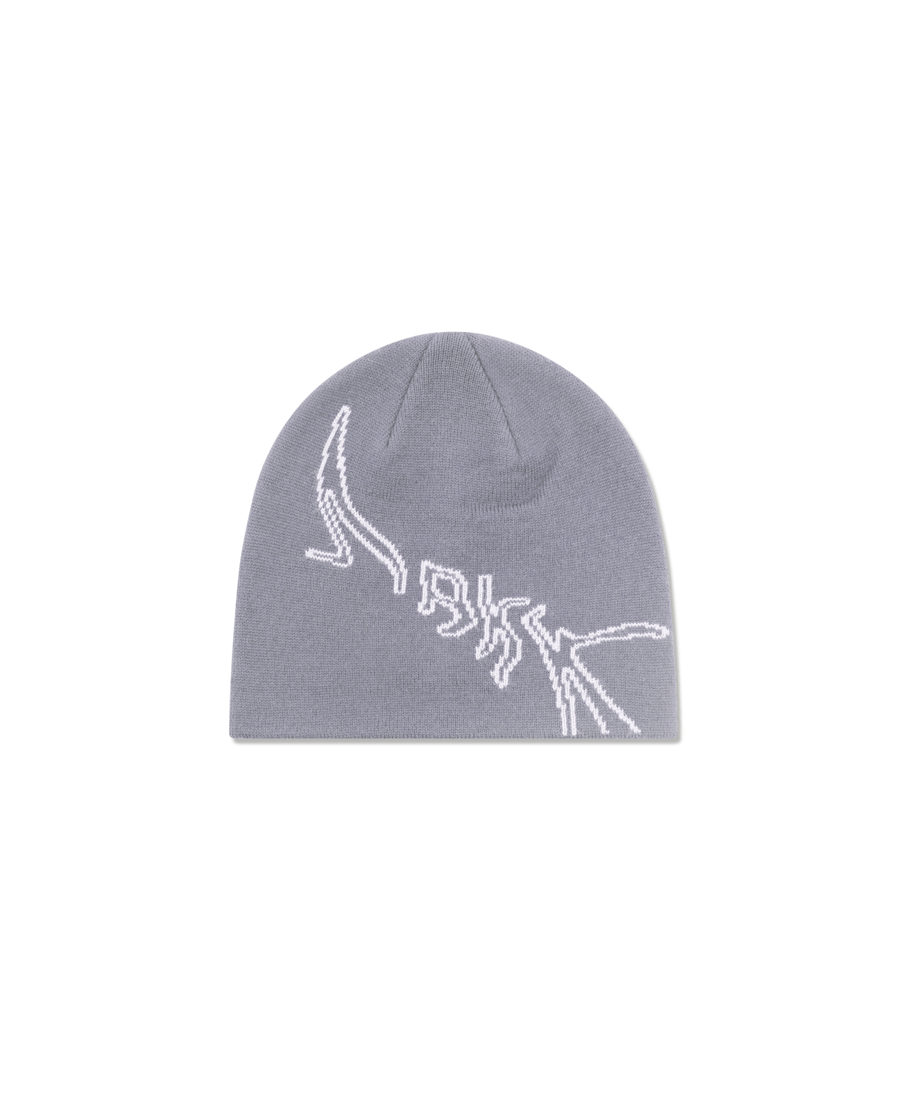 ARKK Accessories ARKK Graphic Beanie | Stone Beanie